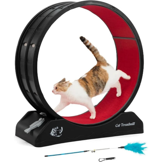 Cat Exercise Wheel Treadmill with Locking Mechanism Large Carpeted Runway for All Breeds - Wild Paw Outdoors