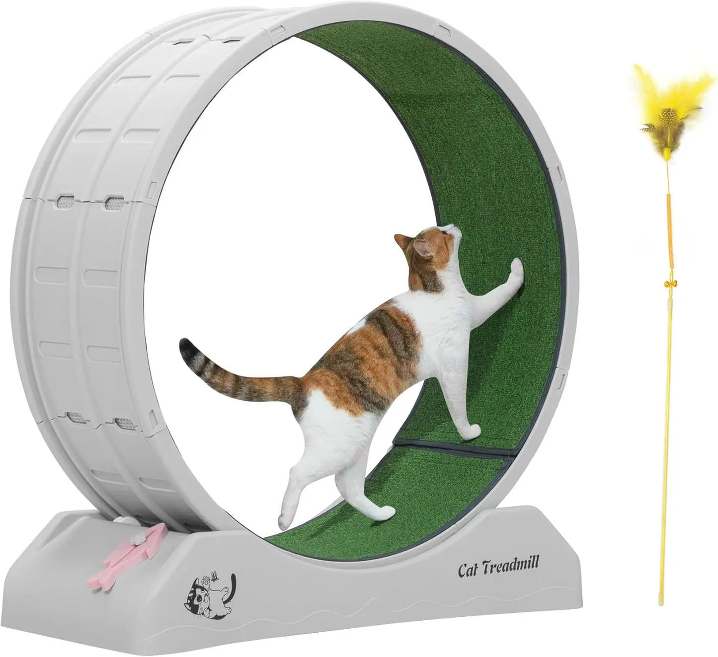 Cat Exercise Wheel Treadmill with Locking Mechanism Large Carpeted Runway for All Breeds - Wild Paw Outdoors