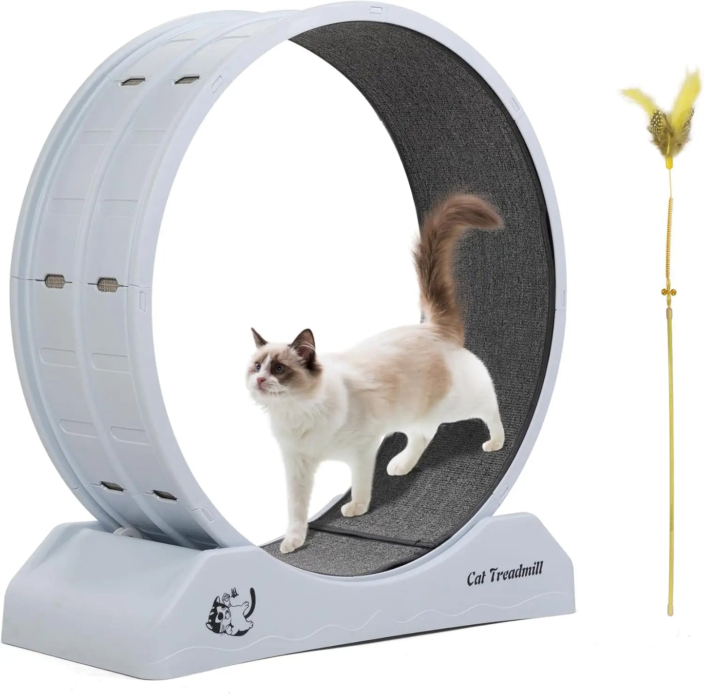 Cat Exercise Wheel Treadmill with Locking Mechanism Large Carpeted Runway for All Breeds - Wild Paw Outdoors