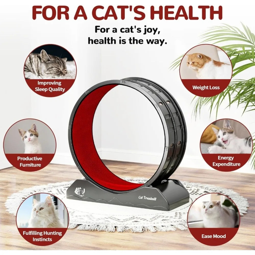 Cat Exercise Wheel Treadmill with Locking Mechanism Large Carpeted Runway for All Breeds - Wild Paw Outdoors