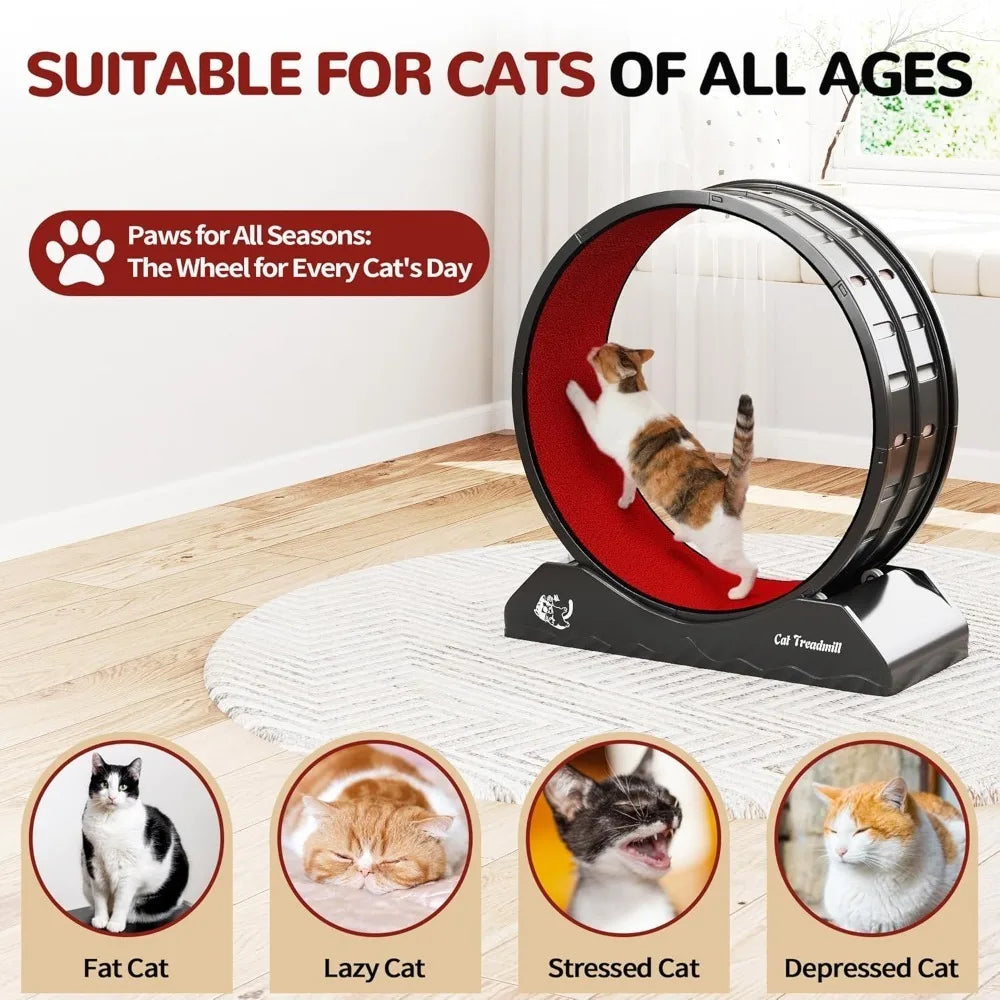 Cat Exercise Wheel Treadmill with Locking Mechanism Large Carpeted Runway for All Breeds - Wild Paw Outdoors